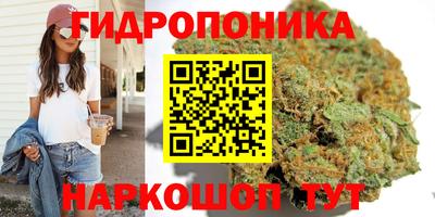 амф Славянск-на-Кубани