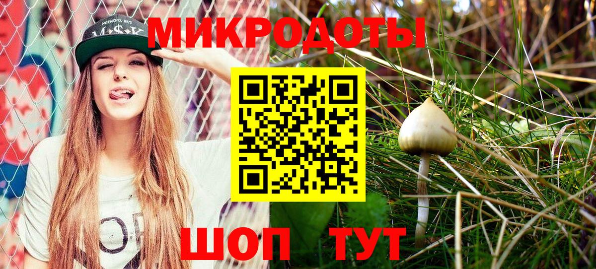 Псилоцибиновые грибы Cubensis  Вход с VPN  Асино  Псилоцибиновые грибы Magic Shrooms 
